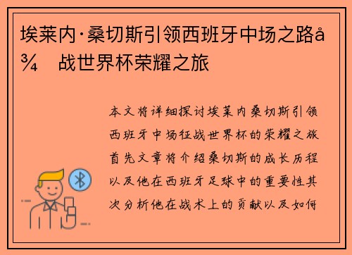 埃莱内·桑切斯引领西班牙中场之路征战世界杯荣耀之旅