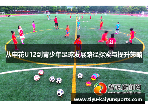 从申花U12到青少年足球发展路径探索与提升策略