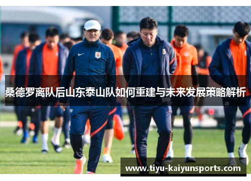 桑德罗离队后山东泰山队如何重建与未来发展策略解析