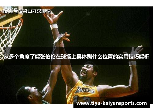 从多个角度了解张伯伦在球场上具体踢什么位置的实用技巧解析